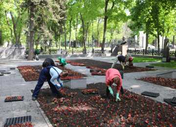 В  Воронеже началась посадка однолетних растений